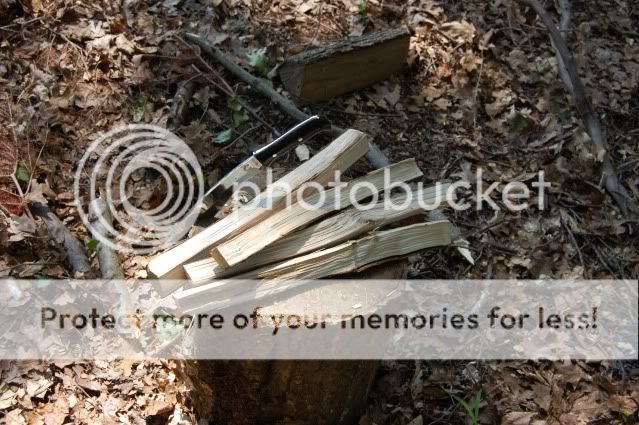 DSC_0441.jpg