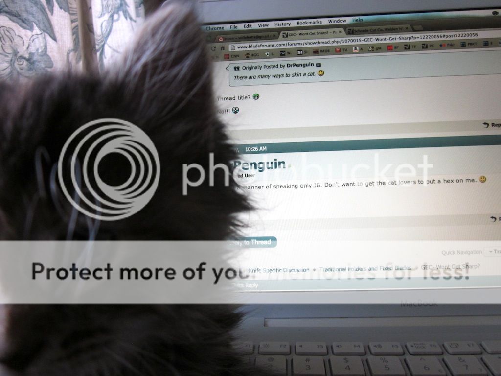 IMG_0056.jpg~original