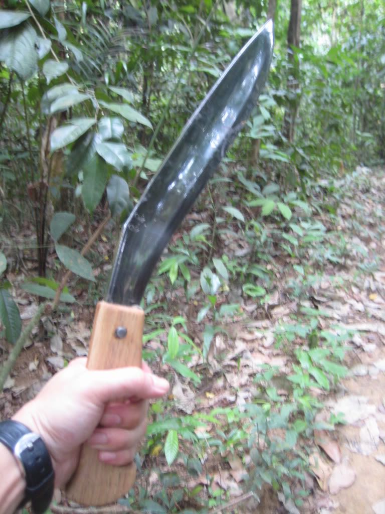 Handleb.jpg