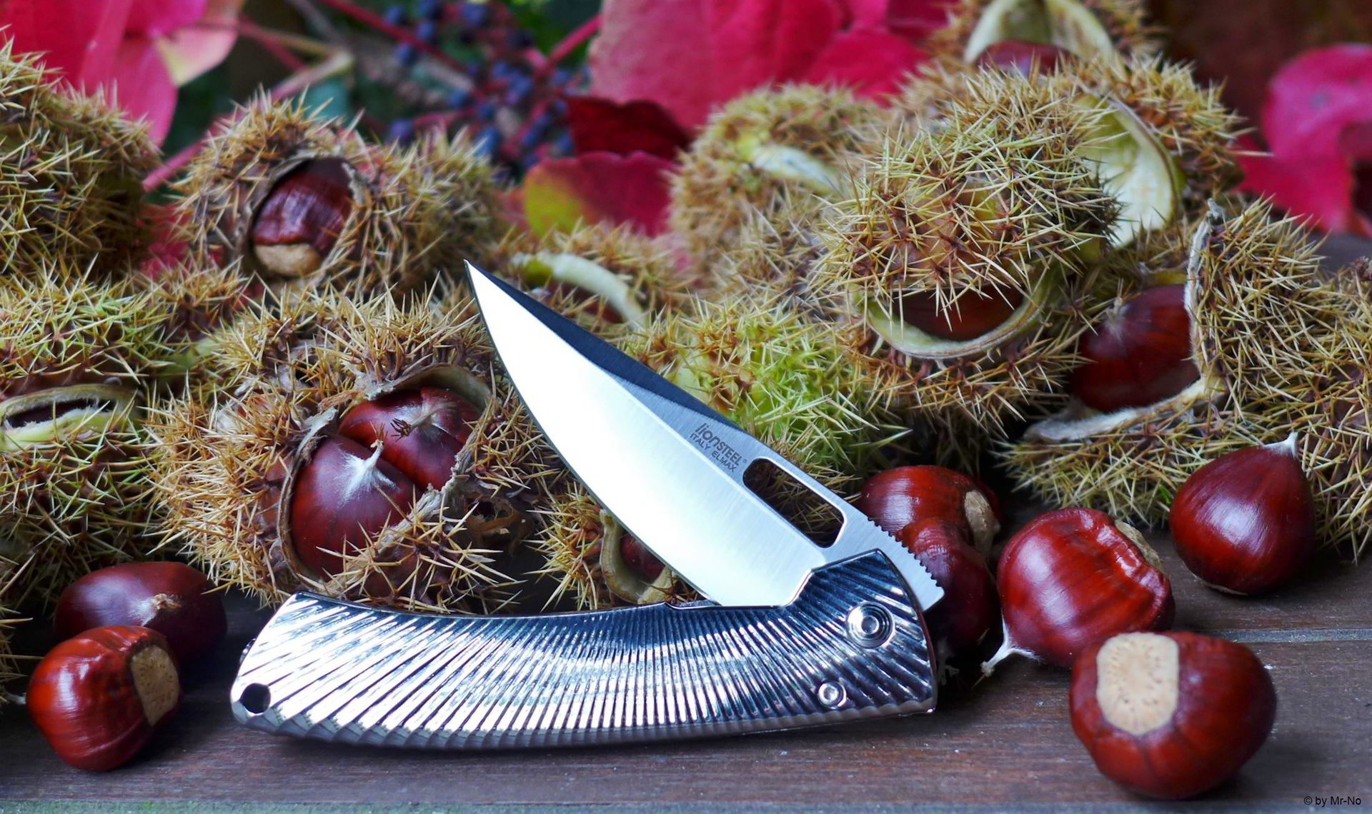 1208703d1444552190-der-messer-thread-kastan03.a.jpg
