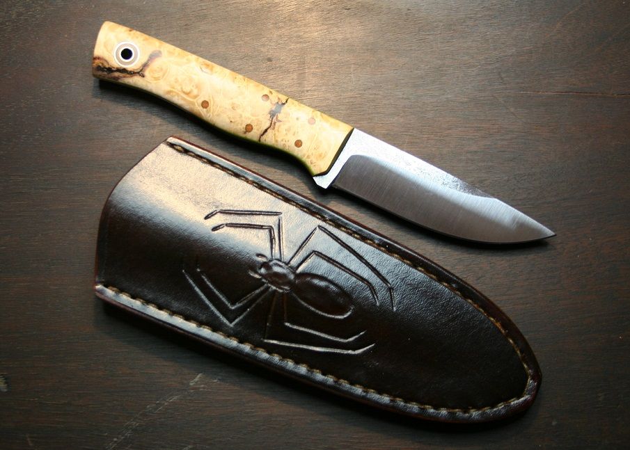 sheath_recluse_2.jpg