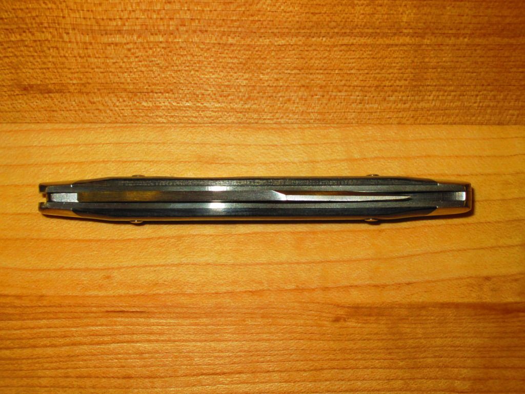 Buck302_vi.jpg