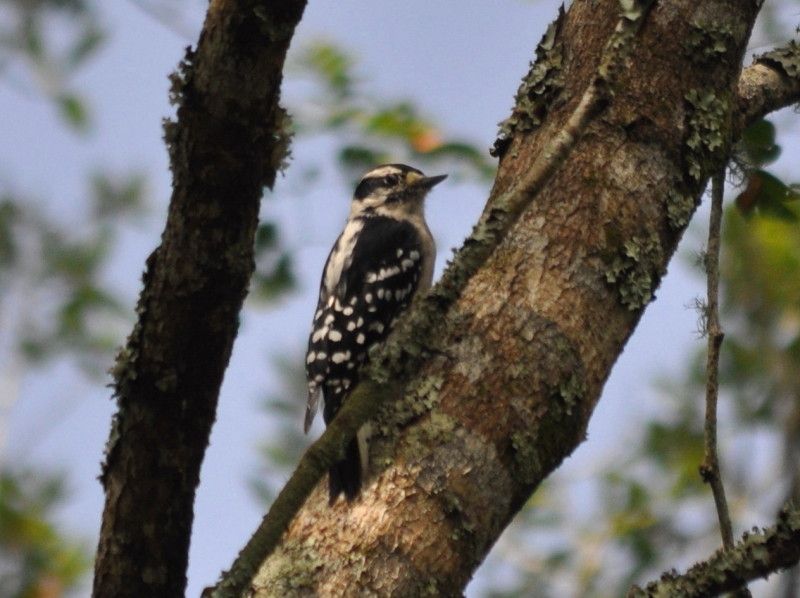 DSC_1615.jpg