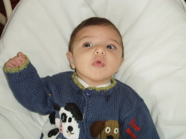 CopyofP1010050.jpg