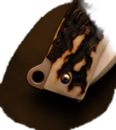 1bM9uxp.jpg