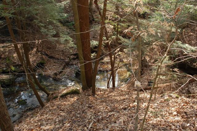 DSC_0086.jpg