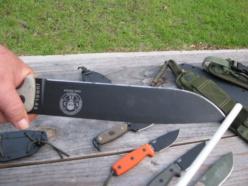 ESEESHARP008.jpg