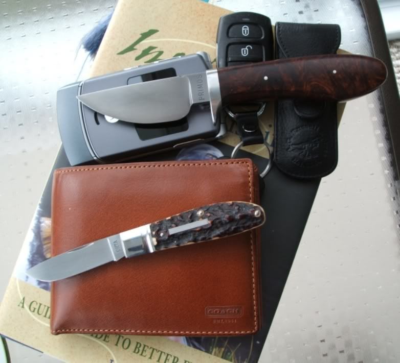 edc2.jpg