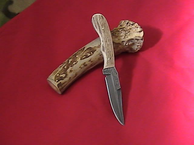darcifk5.jpg