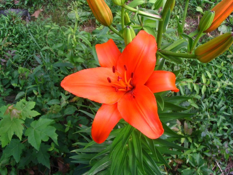 tumblr_n6xl7gItTa1t96cc7o1_1280.jpg