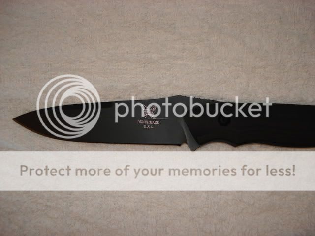 Picture016.jpg