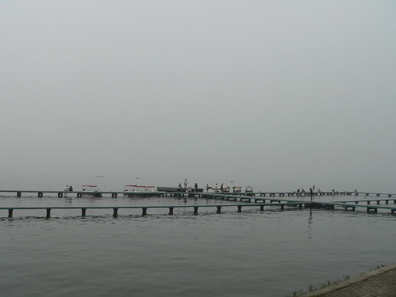 P1410274.jpg