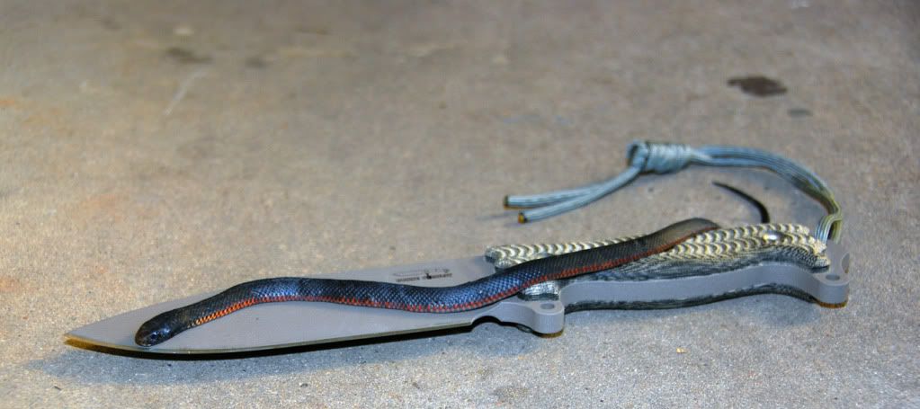 RBBlackSnake3.jpg