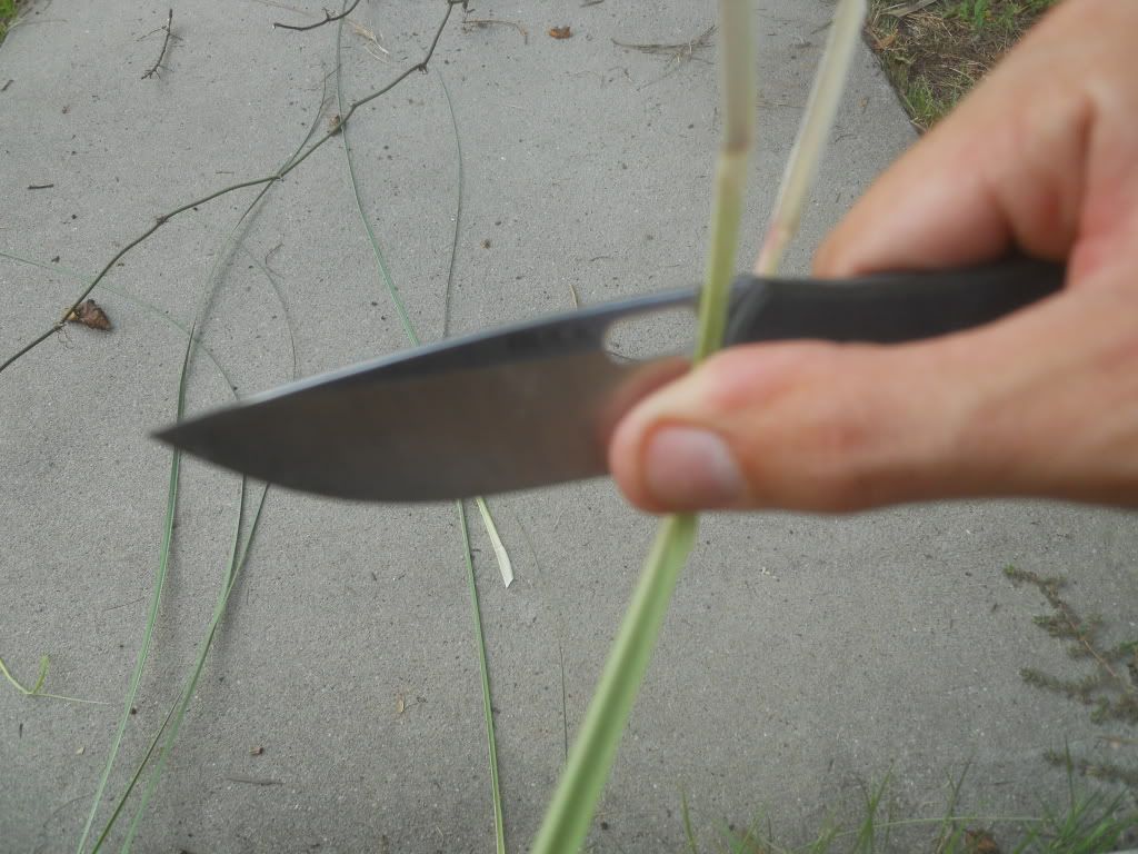 DSCN0636.jpg