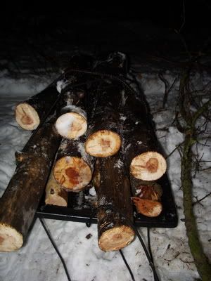 LogSled.jpg