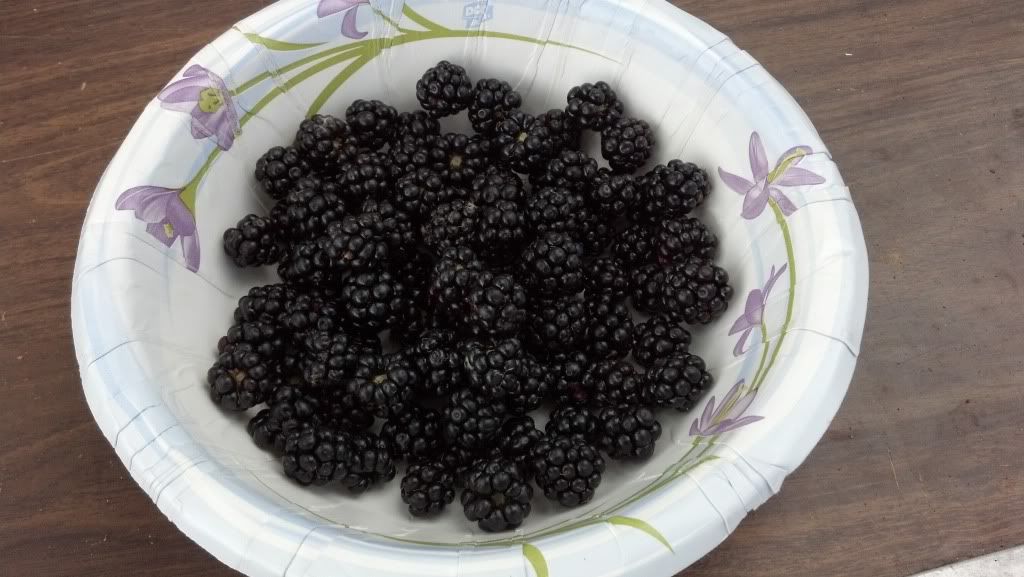 2012-07-22_11-38-39_401.jpg
