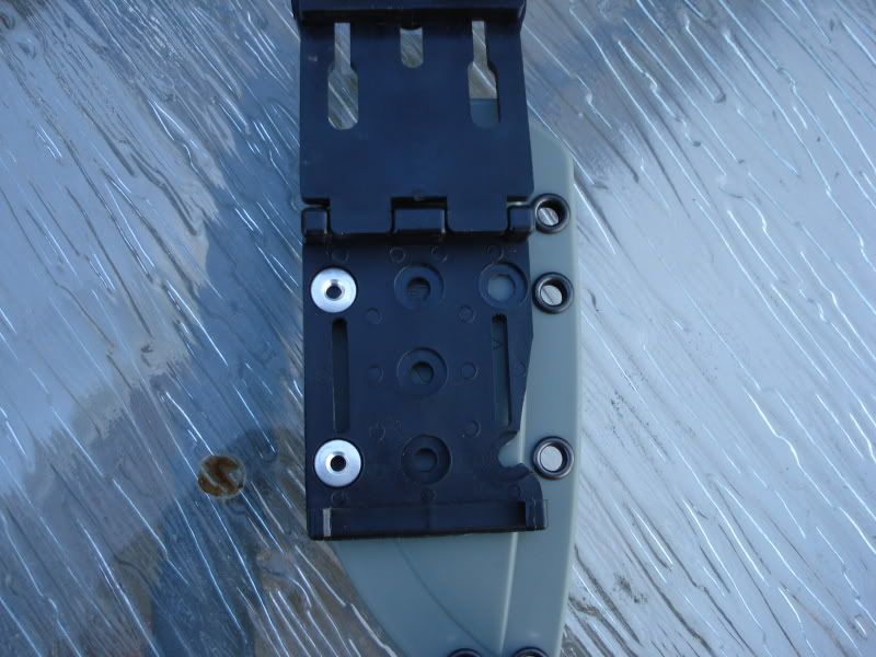 20090316_11.jpg
