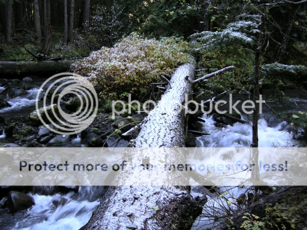 DSCN2513.jpg