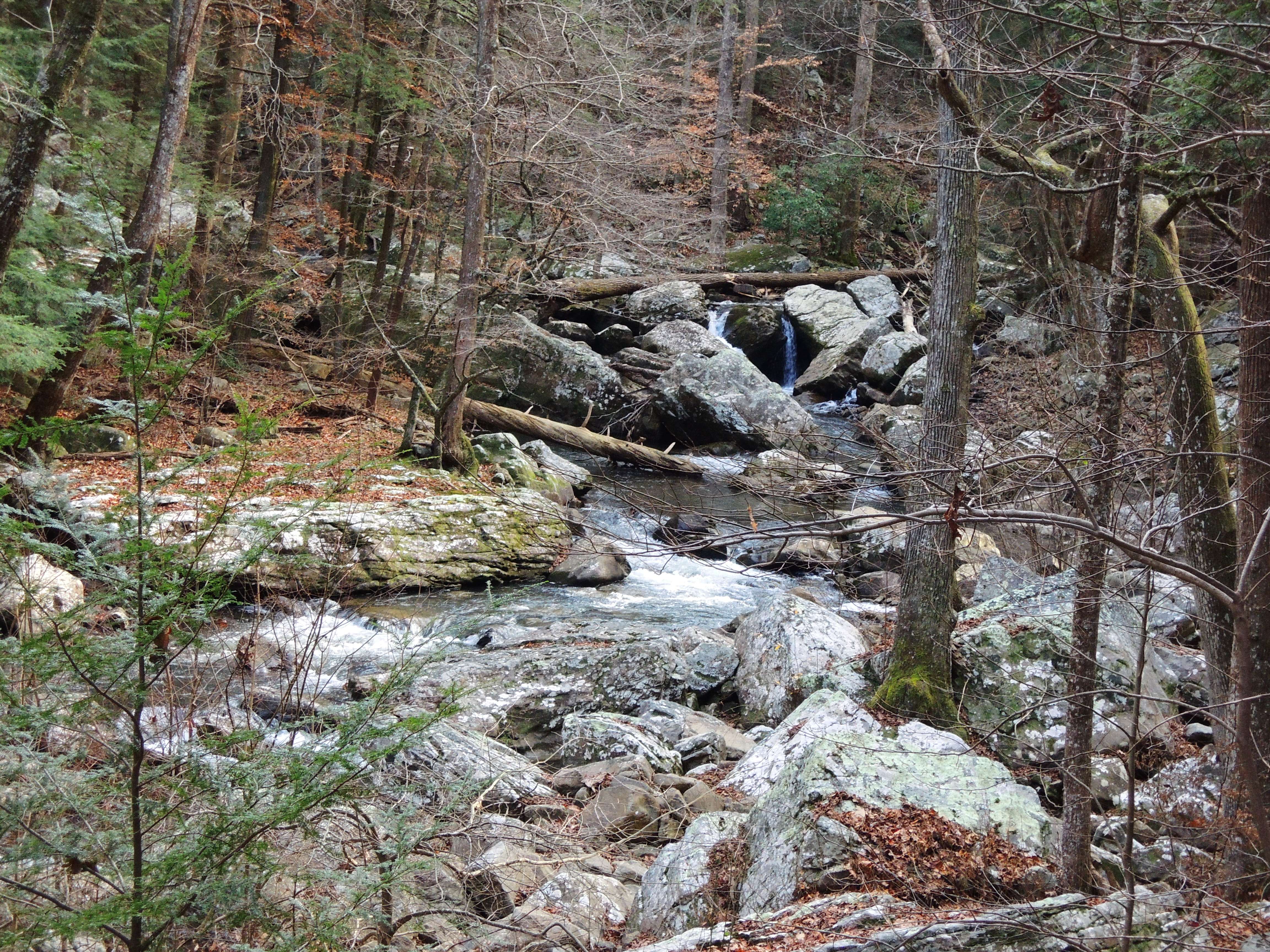dscn4229h.jpg