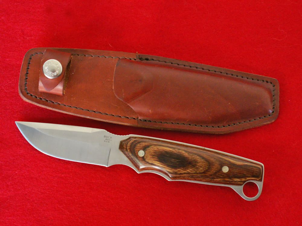 BigSky403b.jpg