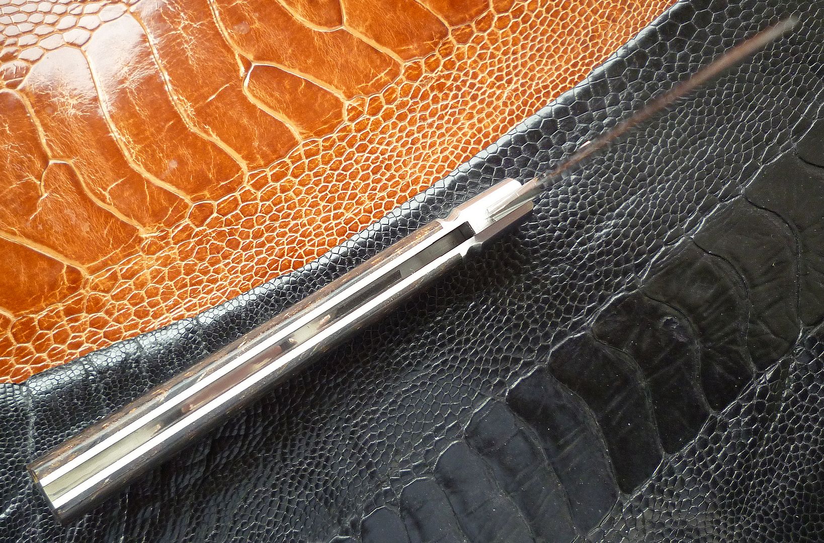 Palm%20BackPocket%2003.jpg