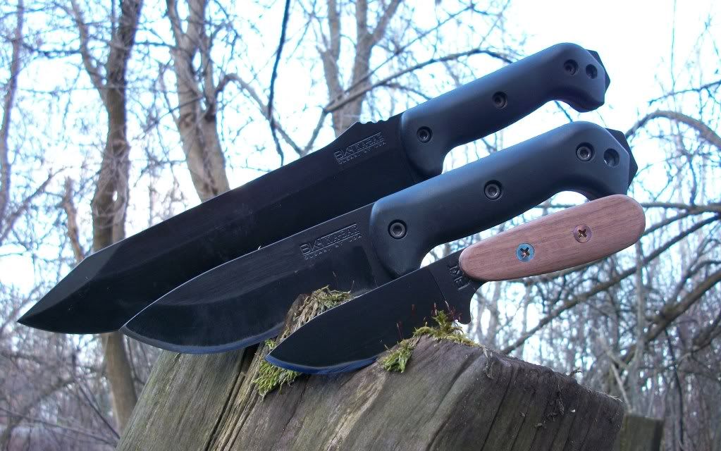 100_1417.jpg