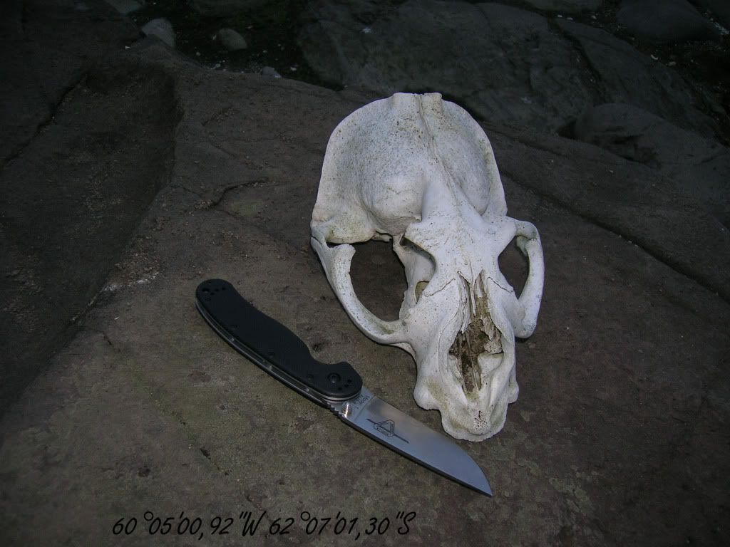 DSCN8501.jpg