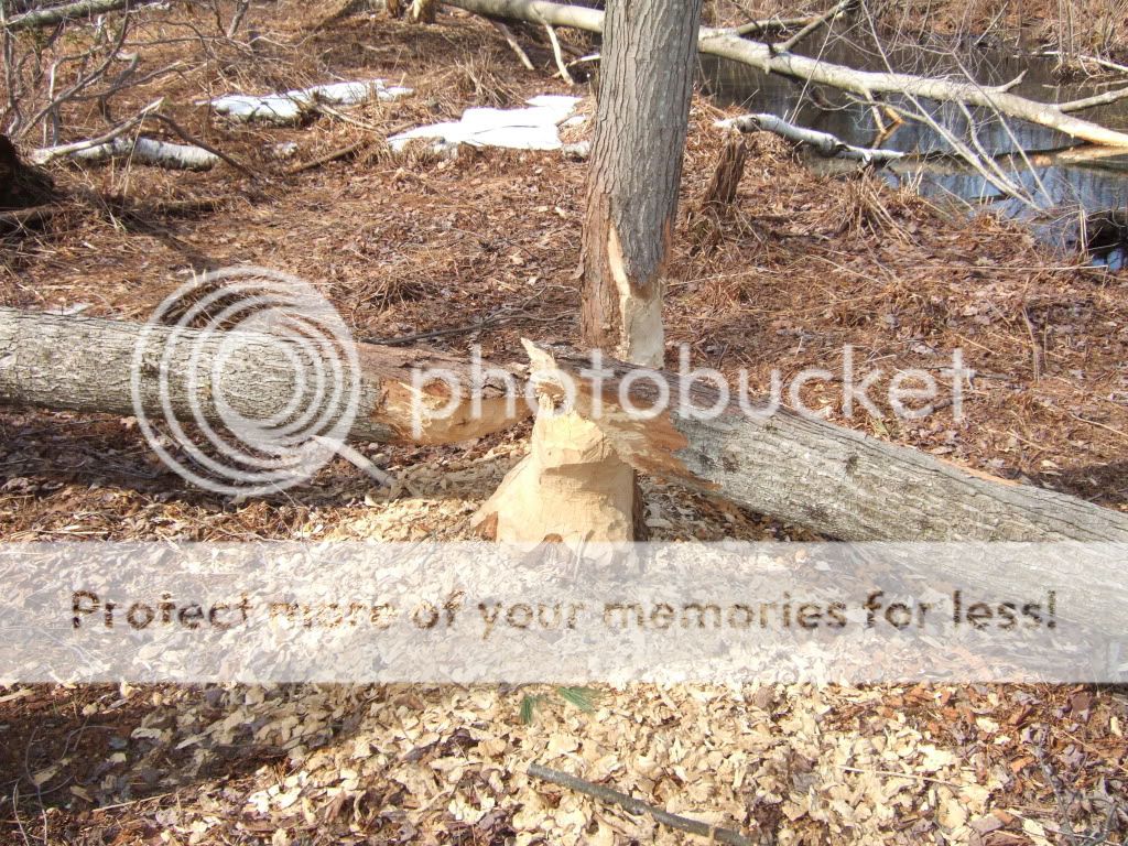 DSCF1047.jpg