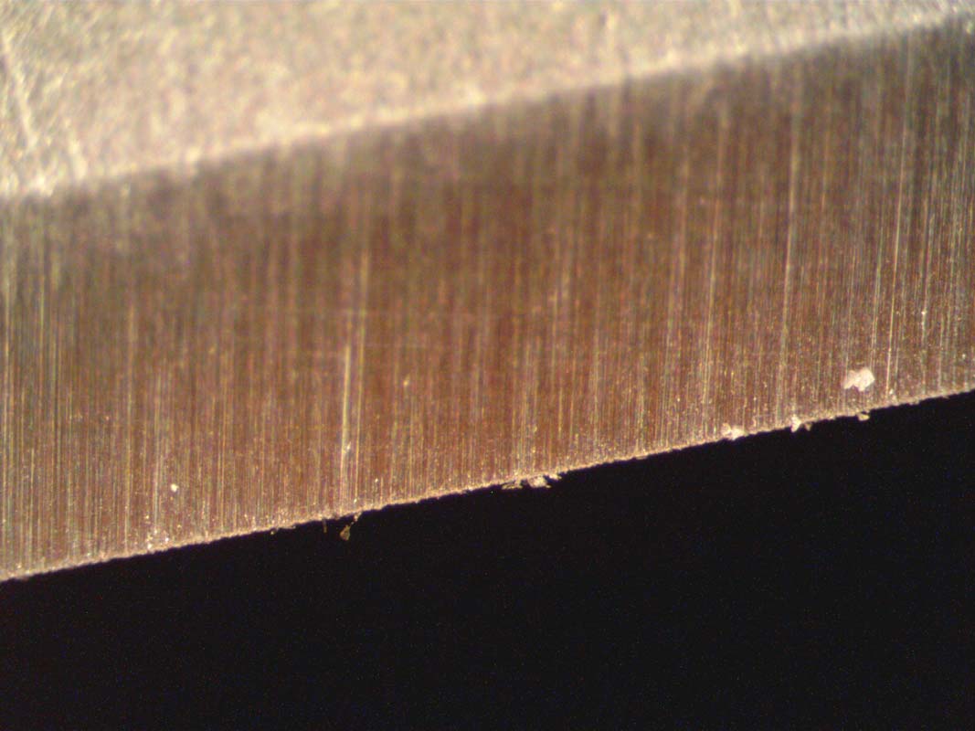 1100-Sic.jpg