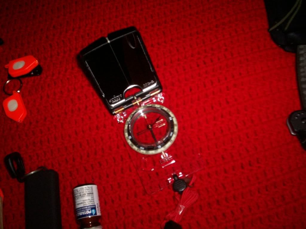 4309054.jpg