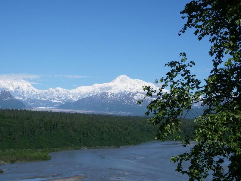 IMGP2425.jpg