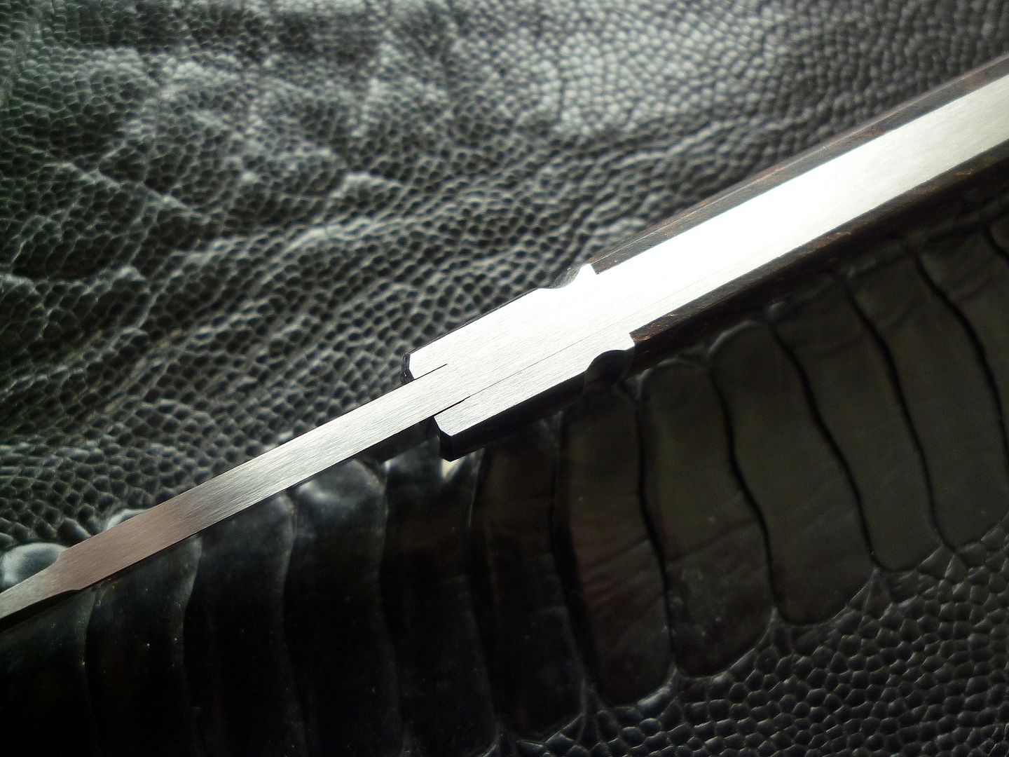 Palm%20BackPocket%2006.jpg