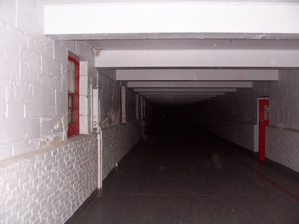 100_0509.jpg