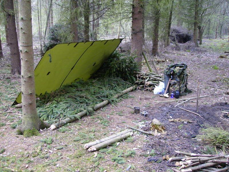 P3310008.jpg