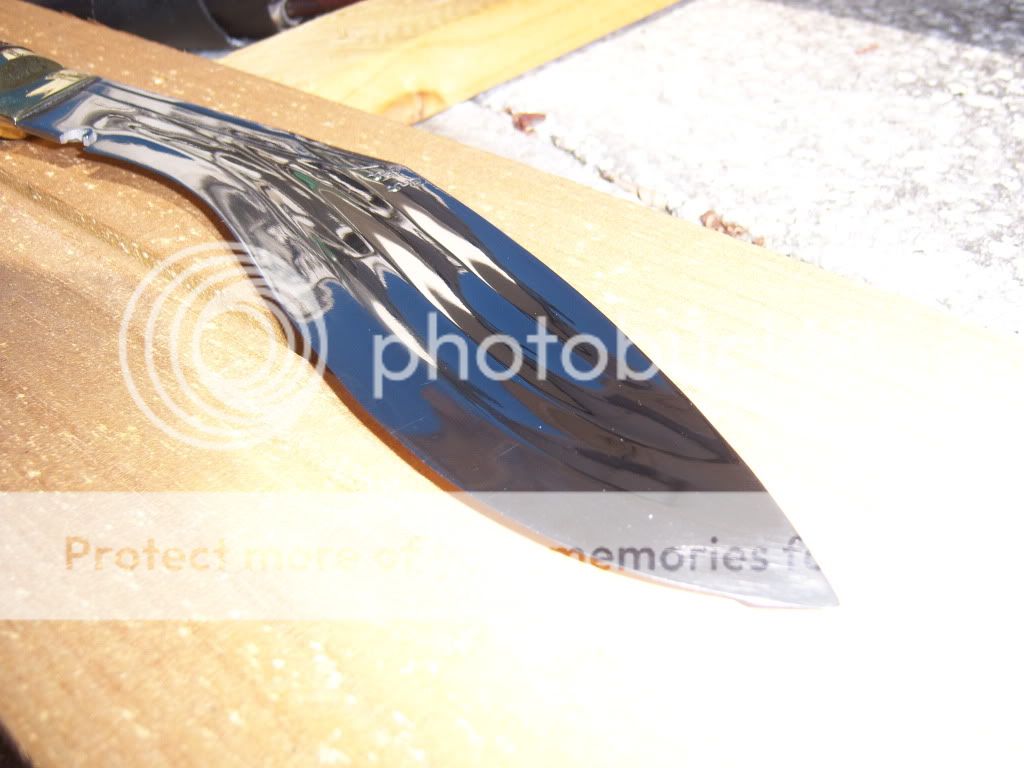 11-07-2010085.jpg