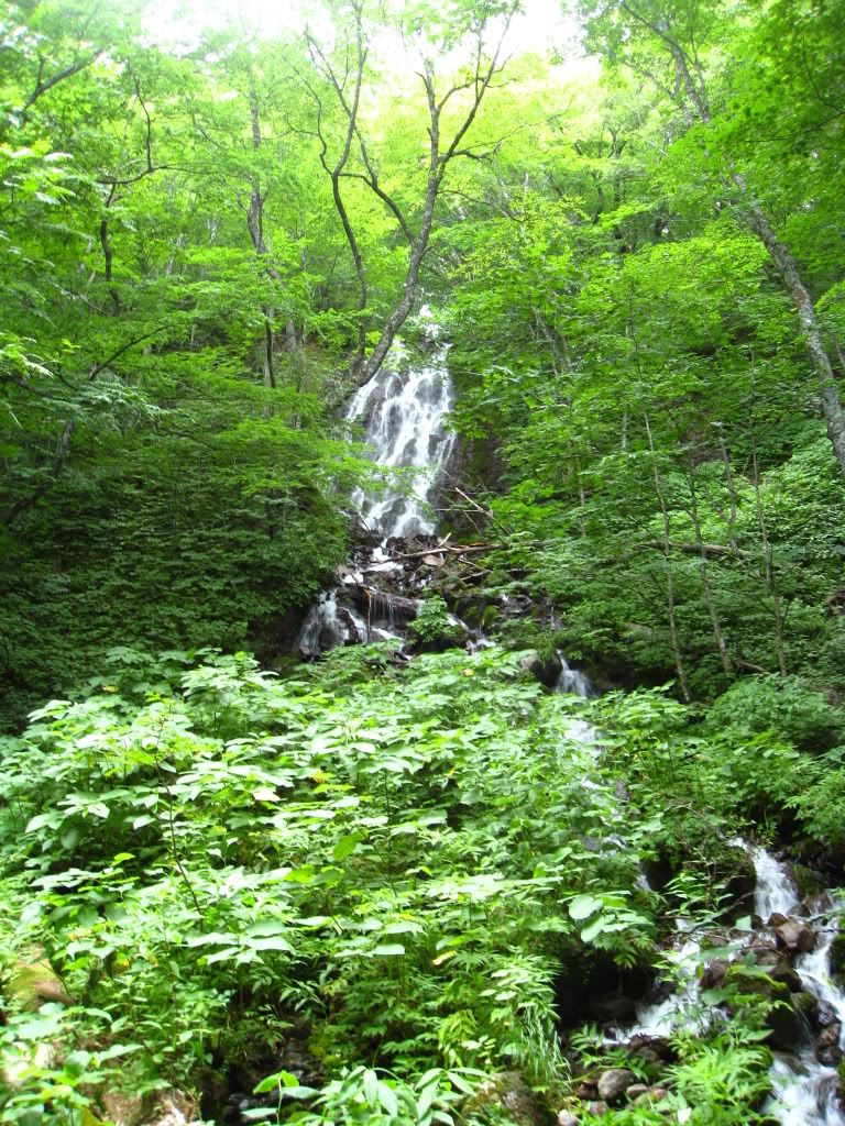 TaiwaTownHikeJuly2010019.jpg