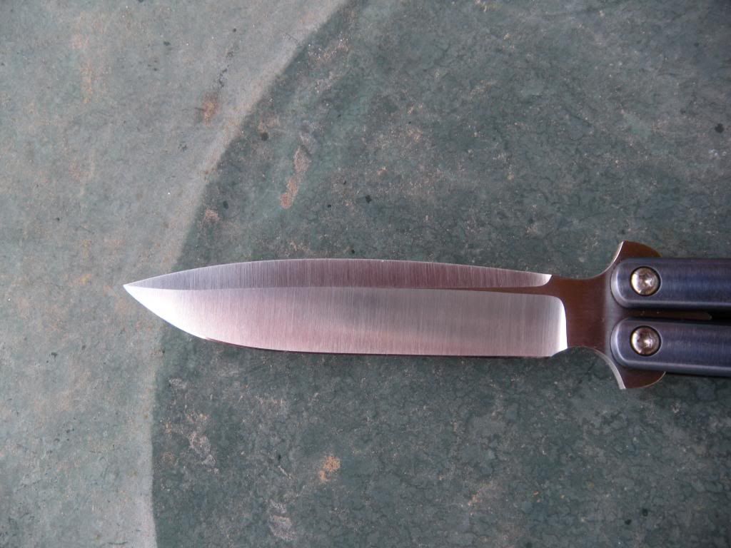 DSCN1300.jpg