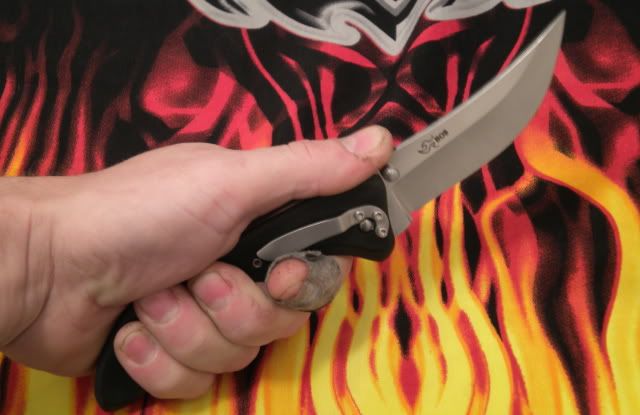 persianinhand.jpg