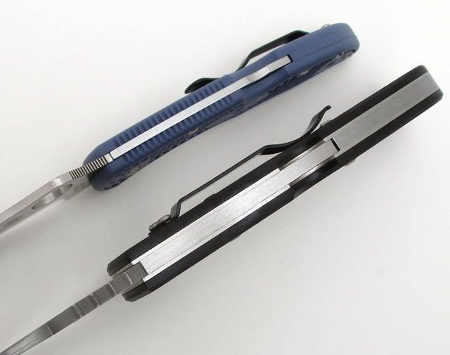 ChinookCloseUp3.jpg