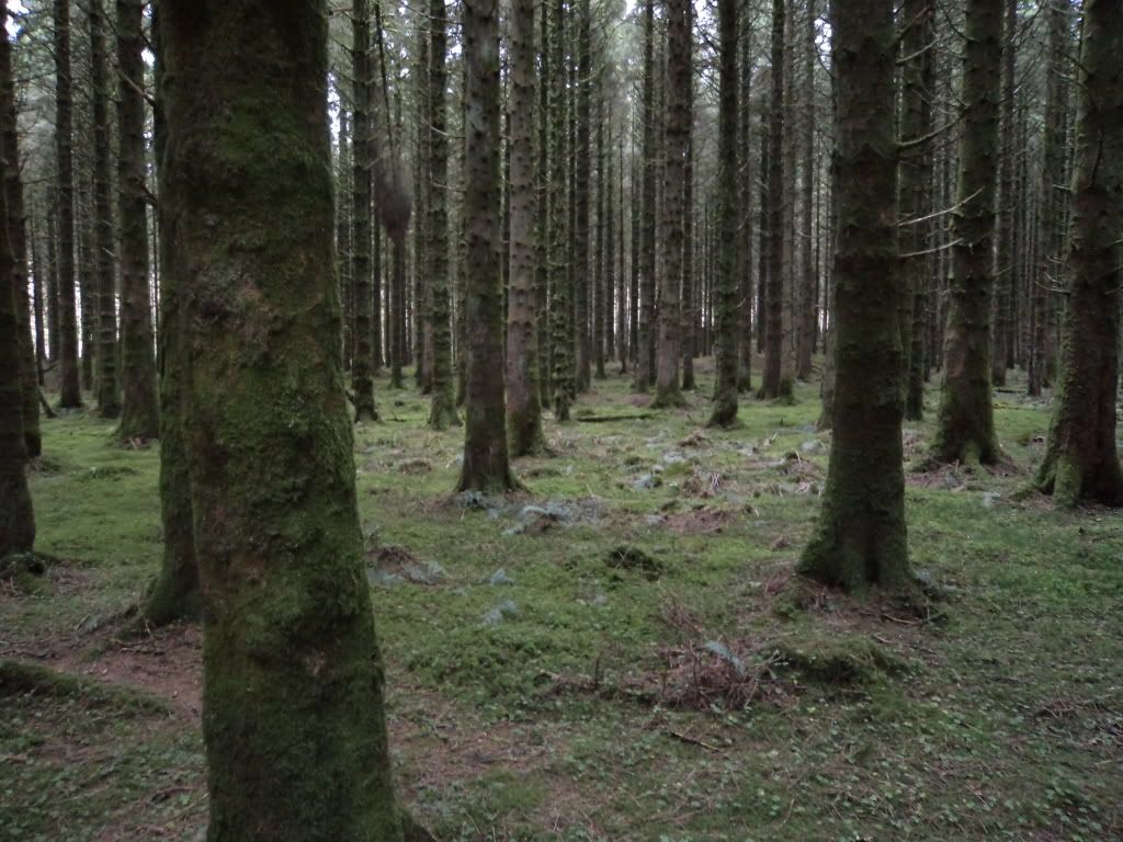 DSC00287.jpg