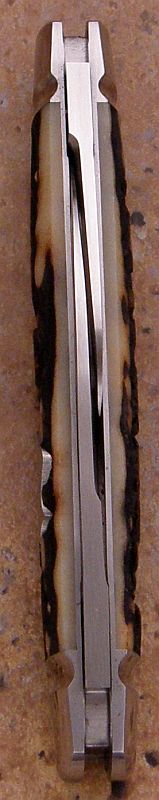 rbose-312staghalfcongress-5.jpg