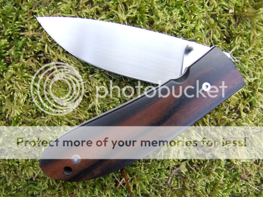 2011_01300035.jpg~original