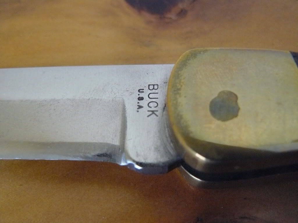 P1050046.jpg