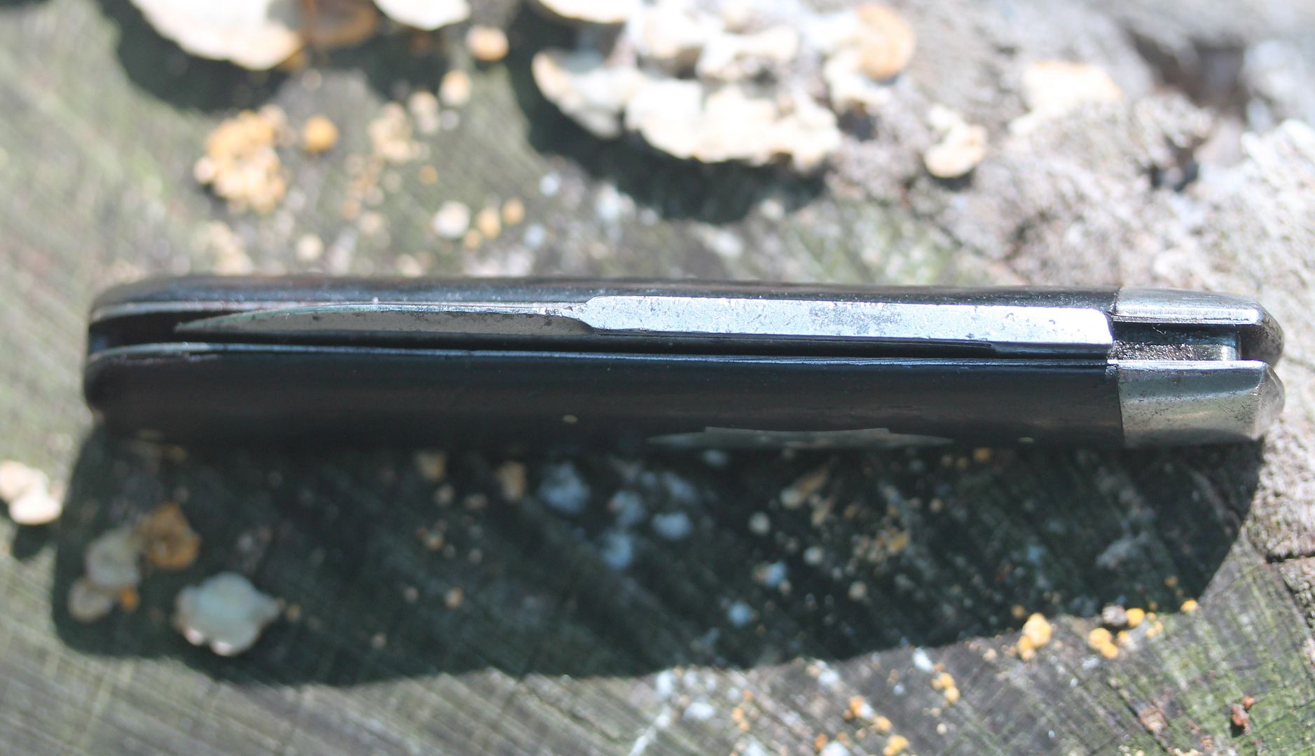 IMG_6067_zpssavyhog0.jpg