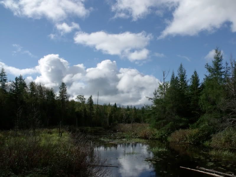 DSCF3809.jpg