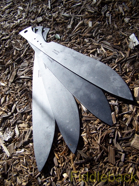 20100103100_3702-vi.jpg