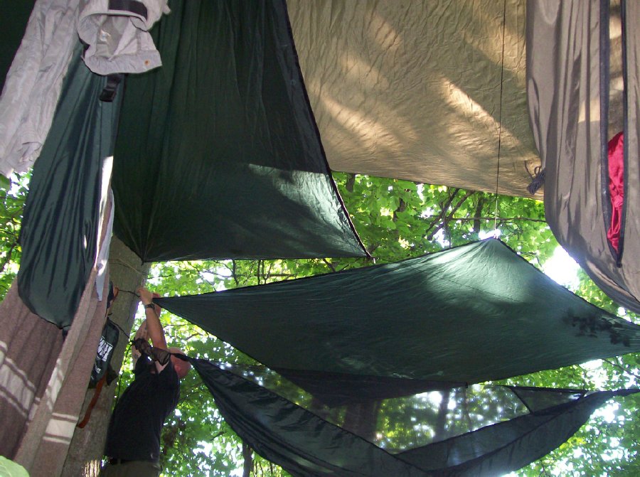 hammockland1.jpg