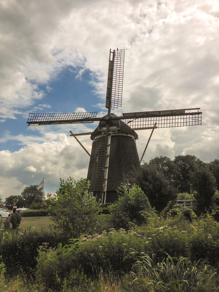 Windmill-2-X2.jpg