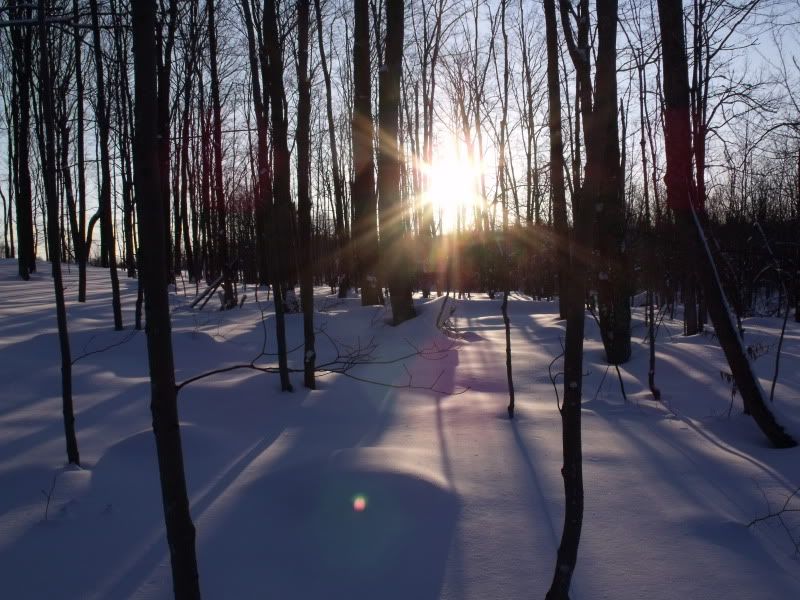 Jan30snowshoeing2017.jpg