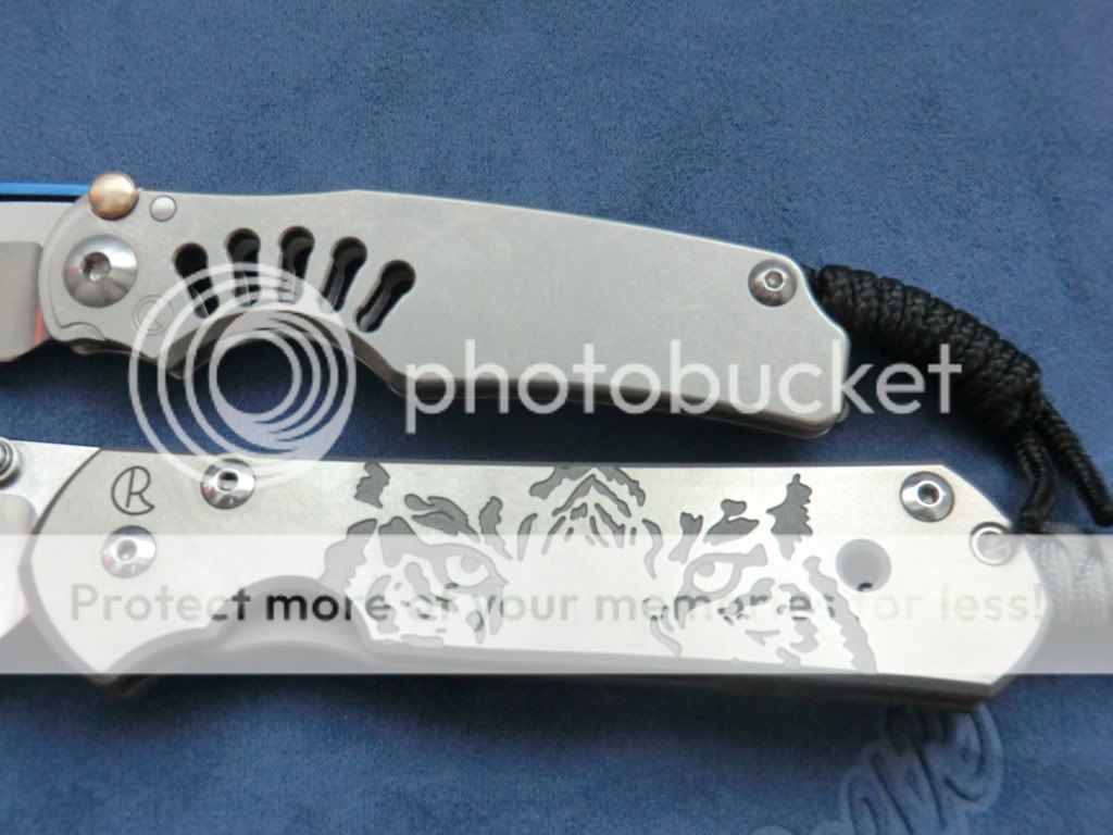 CIMG3951.jpg